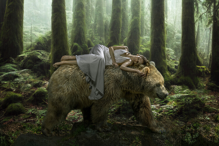 Marcel Egger Plakát, Obraz - Dream Bear, Marcel Egger, 40 × 26.7 cm