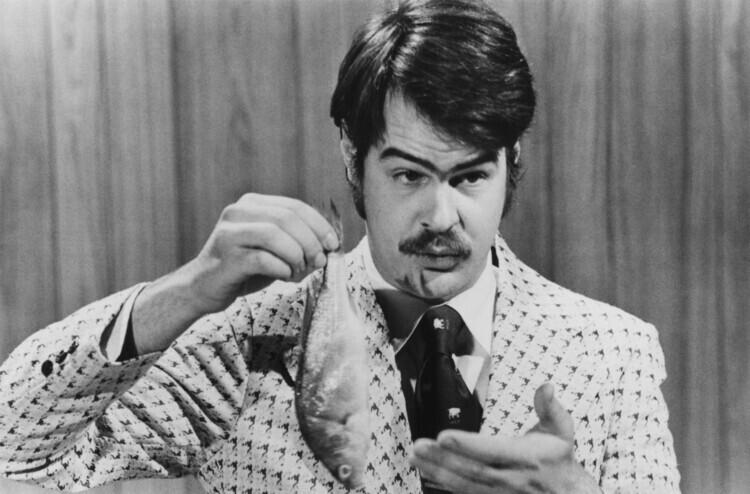 Warner Bros. Plakát, Obraz - The Best Of Dan Aykroyd, 40 × 26.7 cm