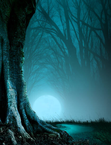 DNY59 Plakát, Obraz - Path Through A Haunted Forest, DNY59, 30 × 40 cm