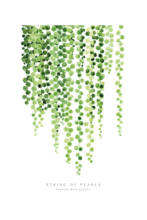 Europosters Plakát, Obraz - Blursbyai - Watercolour string of pearls, 40 × 60 cm