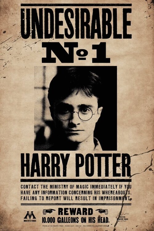 Europosters Plakát, Obraz - Harry Potter - Undesirable no.1, 80 × 120 cm