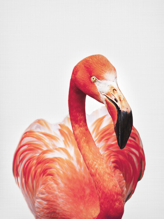Sisi & Seb Plakát, Obraz - Flamingo, Sisi & Seb, 30 × 40 cm
