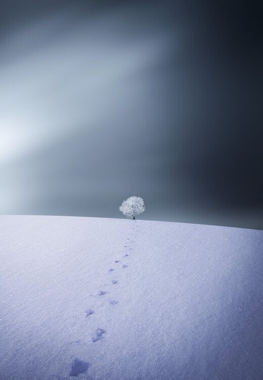 Bess Hamiti Plakát, Obraz - Winter, Bess Hamiti, 26.7 × 40 cm