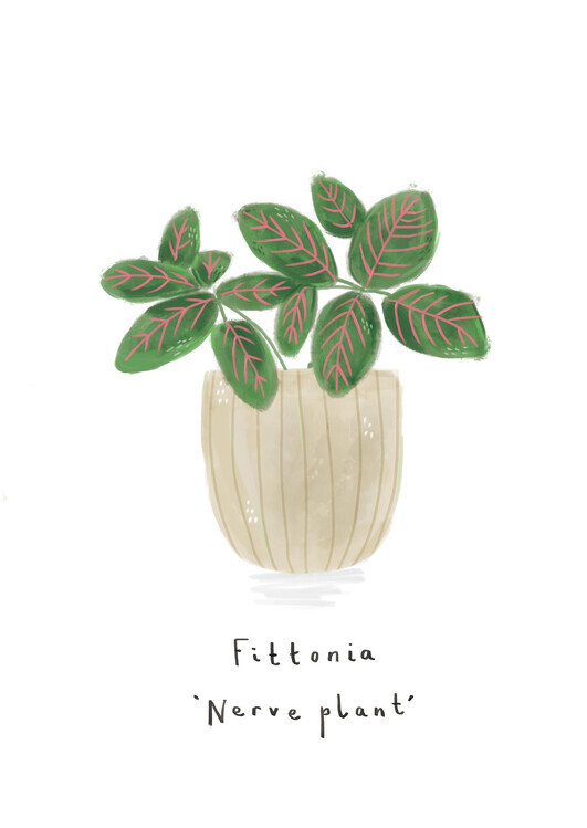 Laura Irwin Plakát, Obraz - Nerve plant, Laura Irwin, 30 × 40 cm
