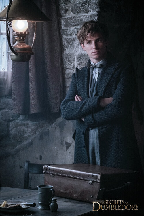 Europosters Plakát, Obraz - Fantastická zvířata - Mlok Scamander, 26.7 × 40 cm