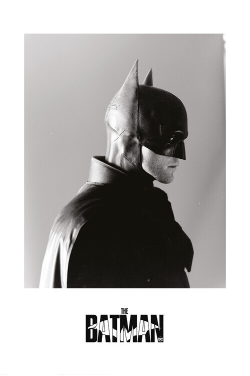 Europosters Plakát, Obraz - The Batman 2022 - Bat profile, 26.7 × 40 cm