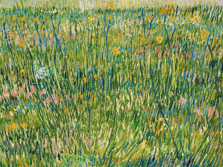 Vincent van Gogh Plakát, Obraz - A Patch of Grass, Vincent van Gogh, 40 × 30 cm