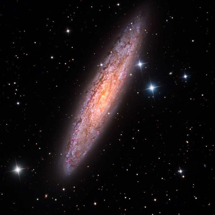 Vikas Chander Plakát, Obraz - Sculptor Galaxy, Vikas Chander, 40 × 40 cm