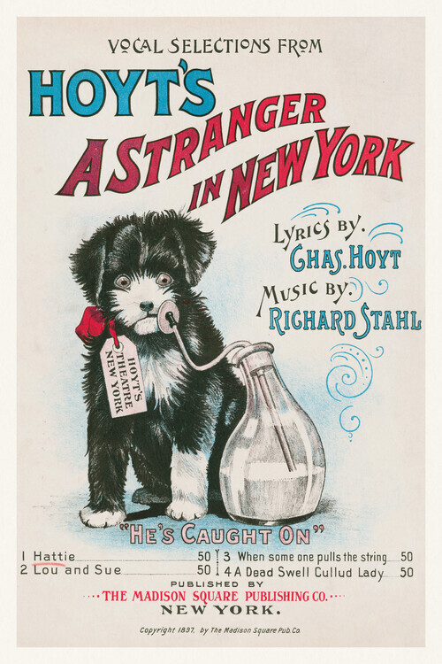 Europosters Plakát, Obraz - A Stranger in New York, 26.7 × 40 cm
