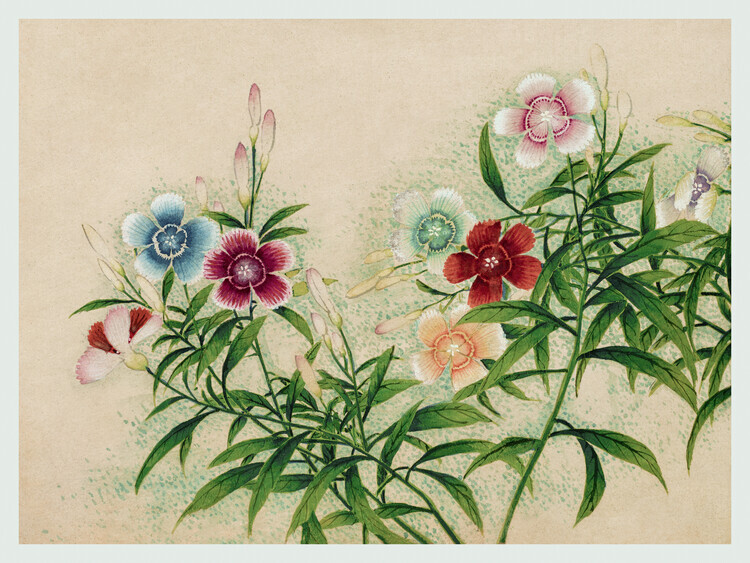 Zhang Ruoai Plakát, Obraz - Pinks, Zhang Ruoai, 40 × 30 cm
