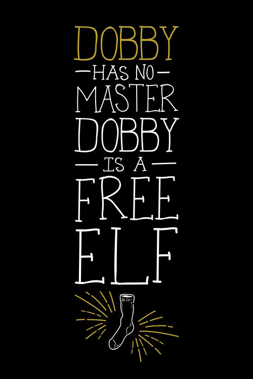 Europosters Plakát, Obraz - Harry Potter - Free Dobby, 26.7 × 40 cm