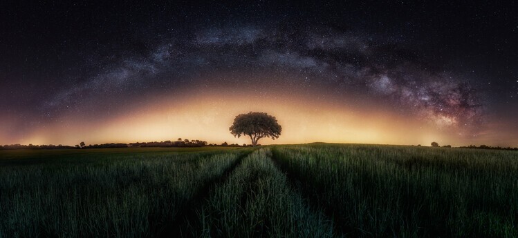 Ivan Ferrero Plakát, Obraz - Milky way over lonely tree, Ivan Ferrero, 50 × 23 cm