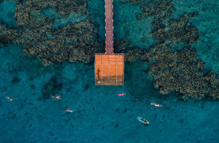 Ido Meirovich Plakát, Obraz - coral escape, Ido Meirovich, 40 × 26.7 cm