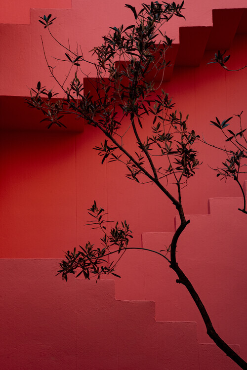 Linda Wride Plakát, Obraz - Muralla Roja #14, Linda Wride, 26.7 × 40 cm