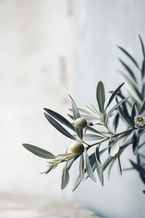 Treechild Plakát, Obraz - Olives, Treechild, 26.7 × 40 cm