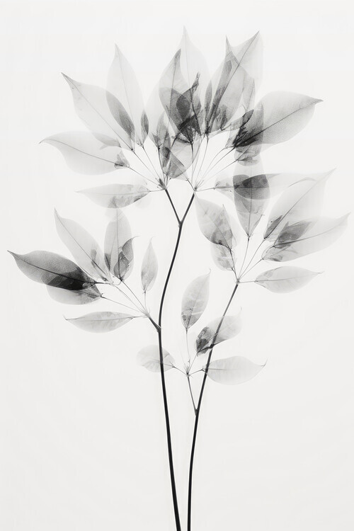 Treechild Plakát, Obraz - Transparent Botanic No 8, Treechild, 26.7 × 40 cm