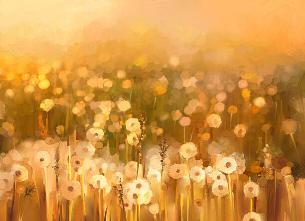 Nongkran_ch Plakát, Obraz - Oil painting daisy-chamomile flowers field  background, Nongkran_ch, 40 × 30 cm