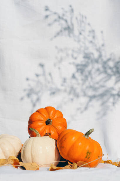 Maryna Terletska Plakát, Obraz - Small pumpkins, Maryna Terletska, 26.7 × 40 cm