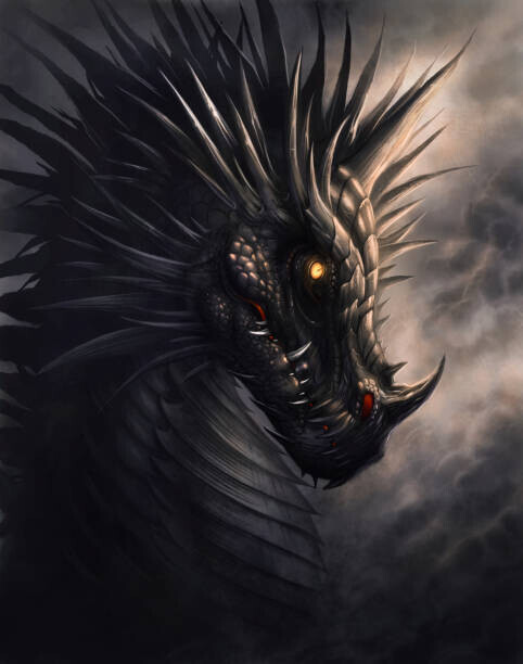 Refluo Plakát, Obraz - Black dragon portrait, Refluo, 30 × 40 cm