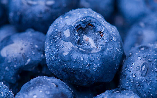 Kativ Plakát, Obraz - Wet Blueberry Closeup, Kativ, 40 × 26.7 cm
