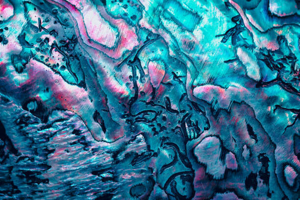 Elen11 Plakát, Obraz - new zealand paua shell in blue, Elen11, 40 × 26.7 cm
