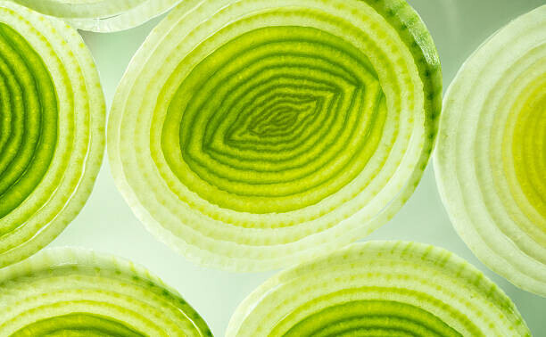 tamjkelly Plakát, Obraz - Colorful green and yellow leek slices., tamjkelly, 40 × 24.7 cm