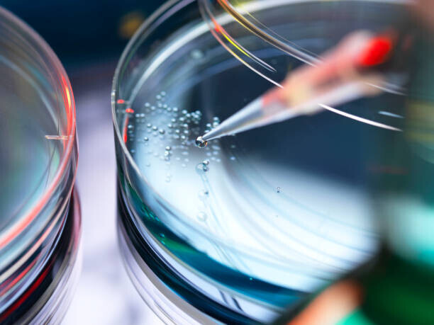 Cavan Images Plakát, Obraz - Stem Cell Research, Scientist pipetting cells, Cavan Images, 40 × 30 cm