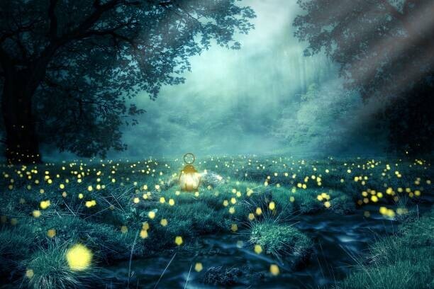 Yoga Sigit saputra / 500px Plakát, Obraz - Dreamlike fairytale with illuminated lantern and, Yoga Sigit saputra / 500px, 40 × 26.7 cm