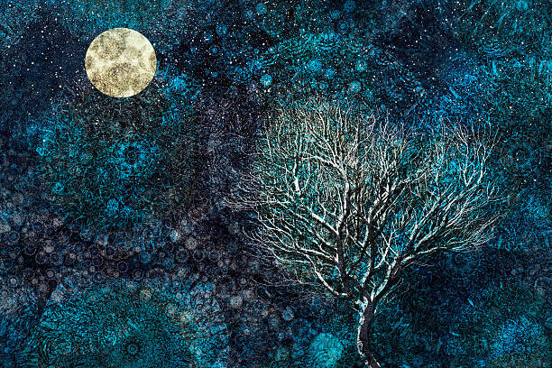 Andrew Bret Wallis Plakát, Obraz - Moonlit winter tree against a starry sky, Andrew Bret Wallis, 40 × 26.7 cm