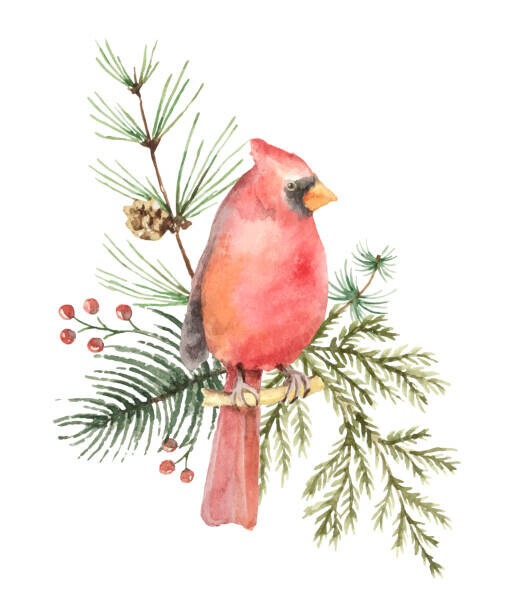 ElenaMedvedeva Plakát, Obraz - Watercolor vector Christmas bouquet with Bird, ElenaMedvedeva, 33.3 × 40 cm