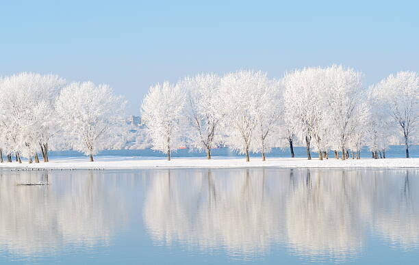 bereta Plakát, Obraz - winter landscape with beautiful reflection in, bereta, 40 × 26.7 cm