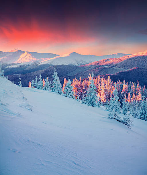 Andrew_Mayovskyy Plakát, Obraz - Colorful winter scene in the Carpathian mountains., Andrew_Mayovskyy, 33.5 × 40 cm