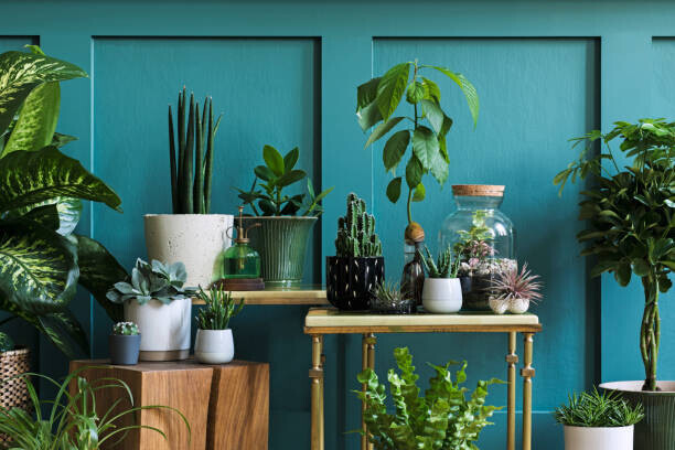 FollowTheFlow Plakát, Obraz - Stylish composition of home garden interior, FollowTheFlow, 40 × 26.7 cm