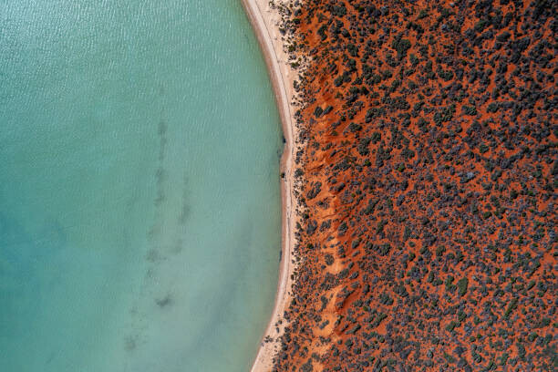 Abstract Aerial Art Plakát, Obraz - Drone photo looking down on the, Abstract Aerial Art, 40 × 26.7 cm