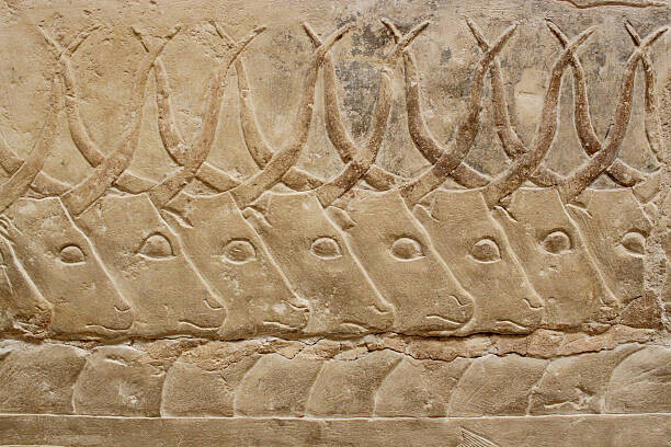 slowcentury Plakát, Obraz - ancient egyptian engravings depicting bulls on, slowcentury, 40 × 26.7 cm
