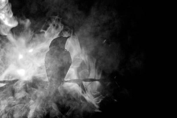 Marcia Straub Plakát, Obraz - Spooky Crow in the Fog at Night, Marcia Straub, 40 × 26.7 cm