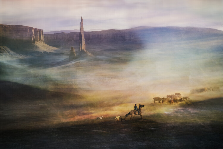 Shenshen Dou Plakát, Obraz - Migrations, Shenshen Dou, 40 × 26.7 cm