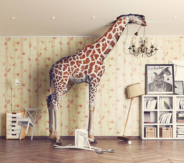 vicnt Plakát, Obraz - giraffe  in the living room, vicnt, 40 × 35.4 cm