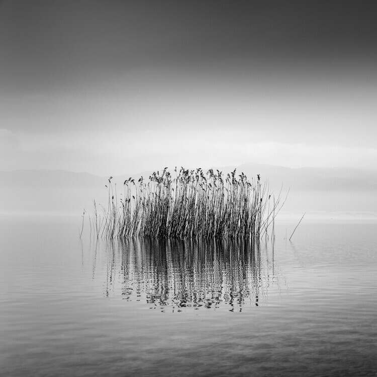 George Digalakis Plakát, Obraz - Black and White Silence, George Digalakis, 40 × 40 cm