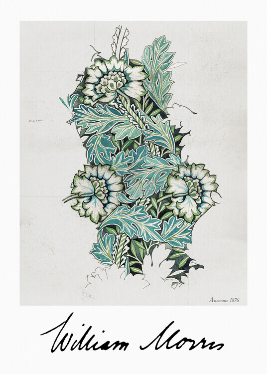 William Morris Plakát, Obraz - Anemone, William Morris, 30 × 40 cm