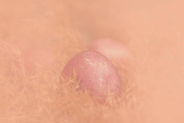 Alina Kostrytsia Plakát, Obraz - Easter eggs in dry reed grass, Alina Kostrytsia, 40 × 26.7 cm
