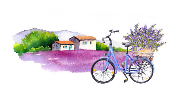 zzorik Plakát, Obraz - Lavender flowers, bicycle with bouquet in, zzorik, 40 × 22.2 cm
