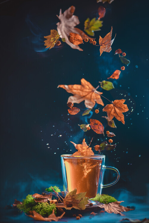 Diana Popescu Plakát, Obraz - Fall Tornado, Diana Popescu, 26.7 × 40 cm