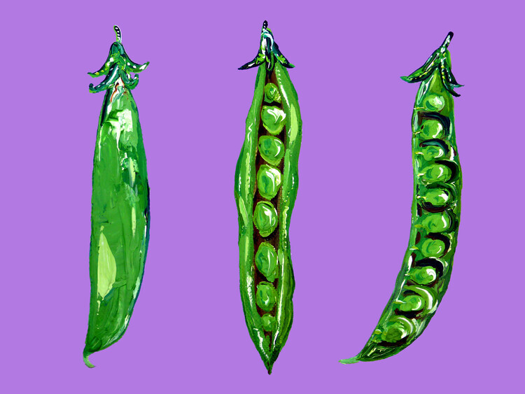 Alice Straker Plakát, Obraz - Peas In a Pod, Alice Straker, 40 × 30 cm