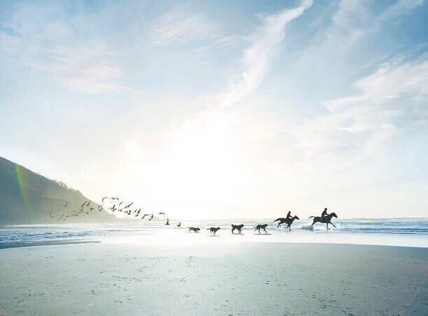 Ezra Bailey Plakát, Obraz - Conceptual shot of riders, dogs and birds on beach, Ezra Bailey, 40 × 30 cm