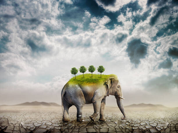 red-feniks Plakát, Obraz - The elephant (symbol of ecology) in the desert, red-feniks, 40 × 30 cm