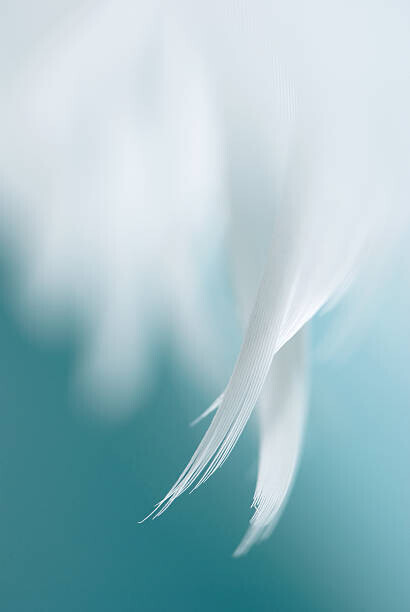 Helen Yin Plakát, Obraz - Angel's wings, Helen Yin, 26.7 × 40 cm