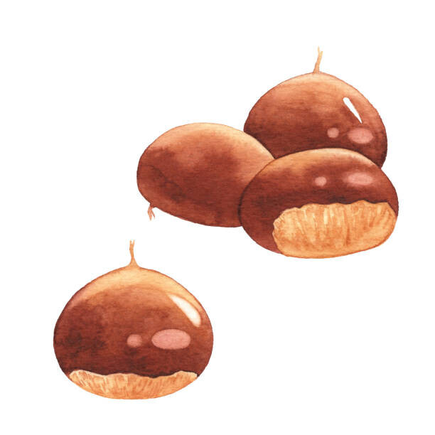 saemilee Plakát, Obraz - Watercolor Chestnuts, saemilee, 40 × 40 cm