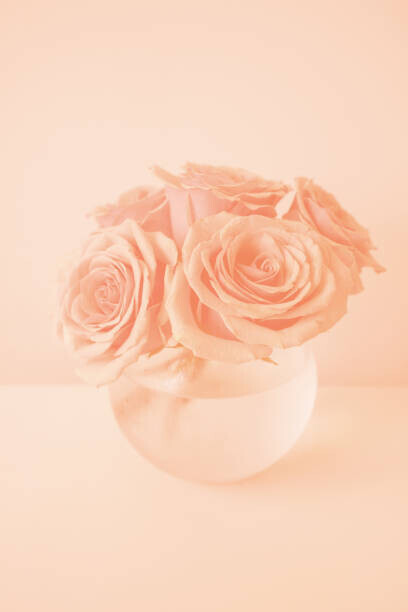 Anna Blazhuk Plakát, Obraz - Roses in the color of 2024 year Peach Fuzz, Anna Blazhuk, 26.7 × 40 cm