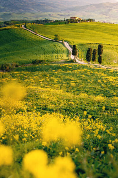 Francesco Riccardo Iacomino Plakát, Obraz - Tuscany, springtime in the afternoon. Path,, Francesco Riccardo Iacomino, 26.7 × 40 cm